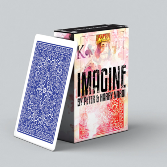 Imagine by Peter and Harry Nardi