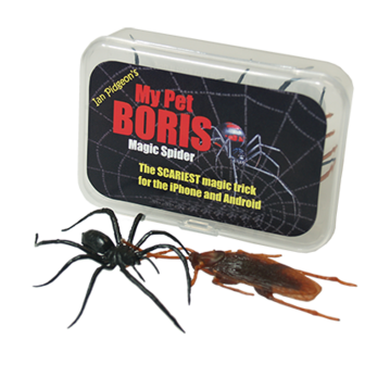 Magic Spider - My pet boris