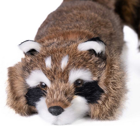 Reality Raccoon Spring Animal