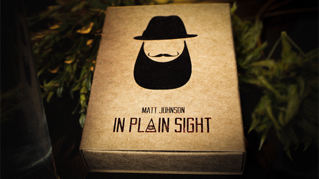 In Plain Sight by Matt Johnson