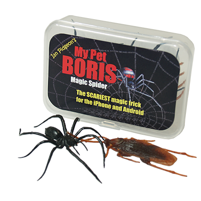 Magic Spider - My pet boris